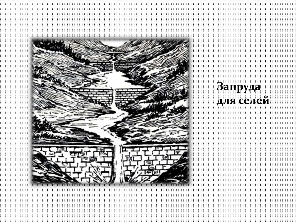 Возникновение селей. Сель схема. Схемы развития селей. Схема образования селя. Сель рисунок схема.