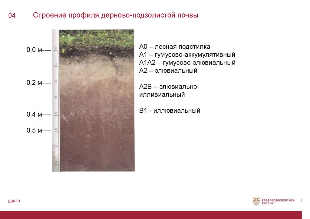 Какова общая схема описания почвенного профиля