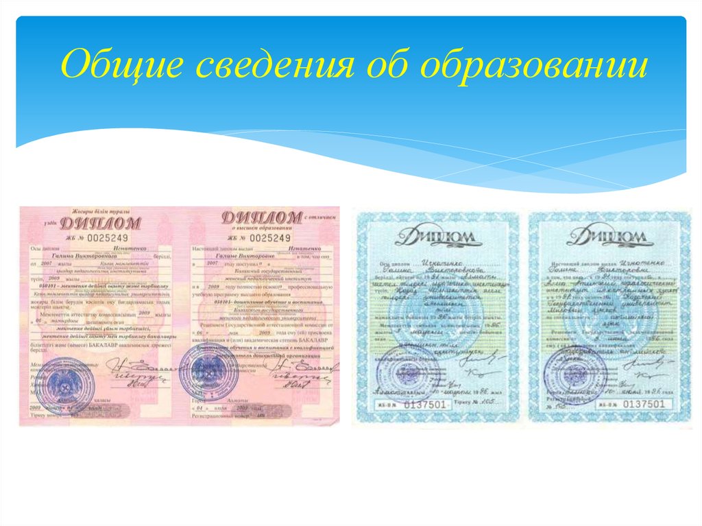 Общие сведения об образовании