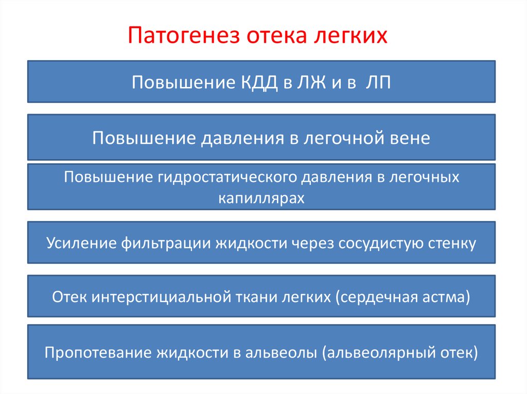 Патогенез отеков. Отек легких патогенез. Сердечная астма патогенез. Сердечная астма и отек легких патогенез. КДД лж.