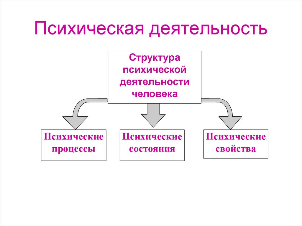 Психические процессы человека. Общая схема психической деятельности человека. Психическая деятельность. Псизиче Кая деятельность. Психическая деятельность человека.