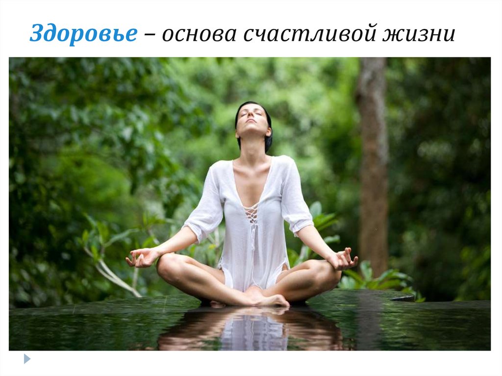 Здоровье – основа счастливой жизни