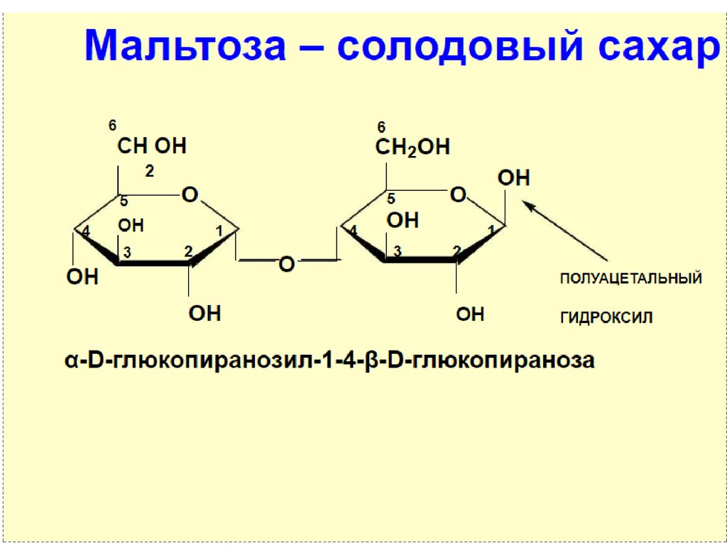 Химические свойства мальтозы. Глюкоза лактоза мальтоза. Лактоза дисахарид. Реакция Троммера с мальтозой. Этанолиз мальтозы.