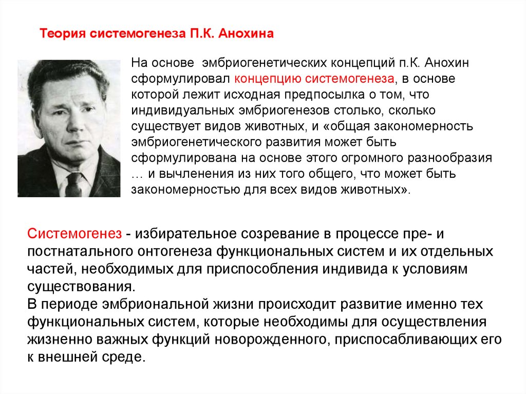 Автор теории функциональных систем. Учение Анохина о системогенезе. Теория системогенеза п.к. Анохина. Теория функциональных систем Анохина Системогенез. В чем основная концепция теории системогенеза п.к. Анохина?.