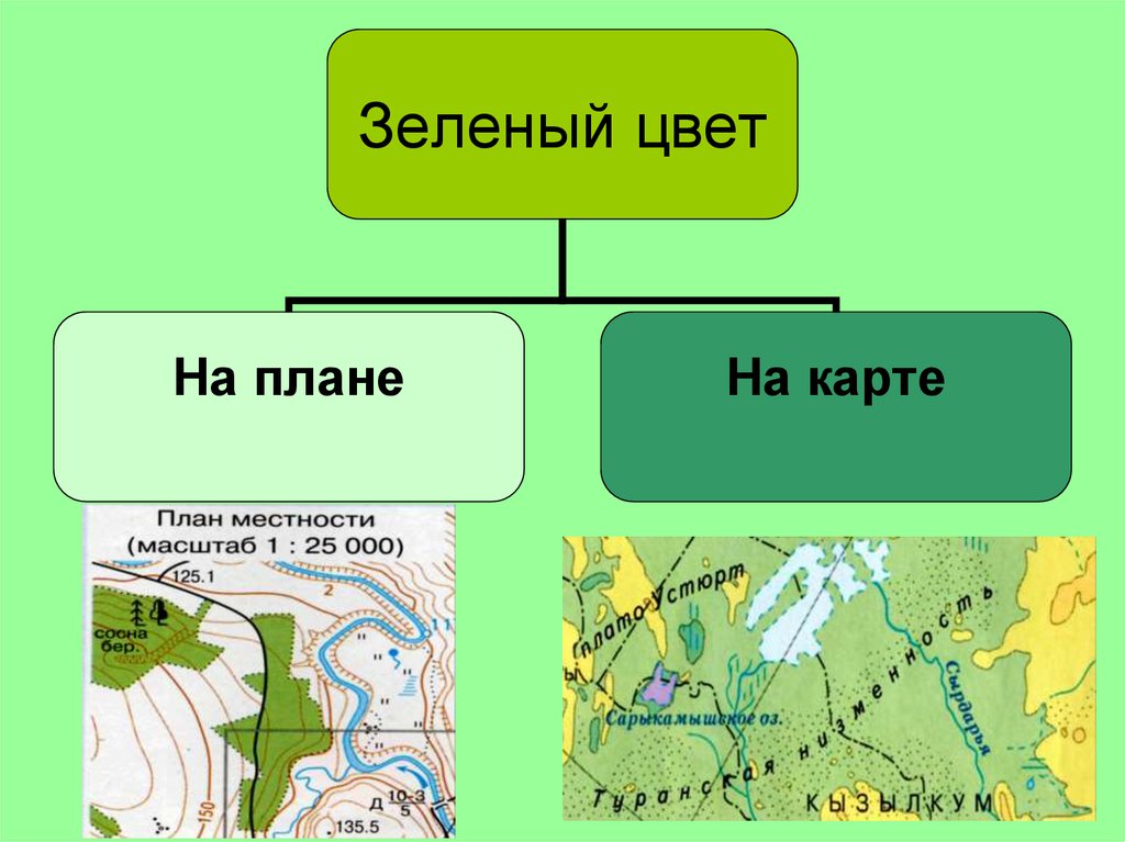 Чем похожи план и карта