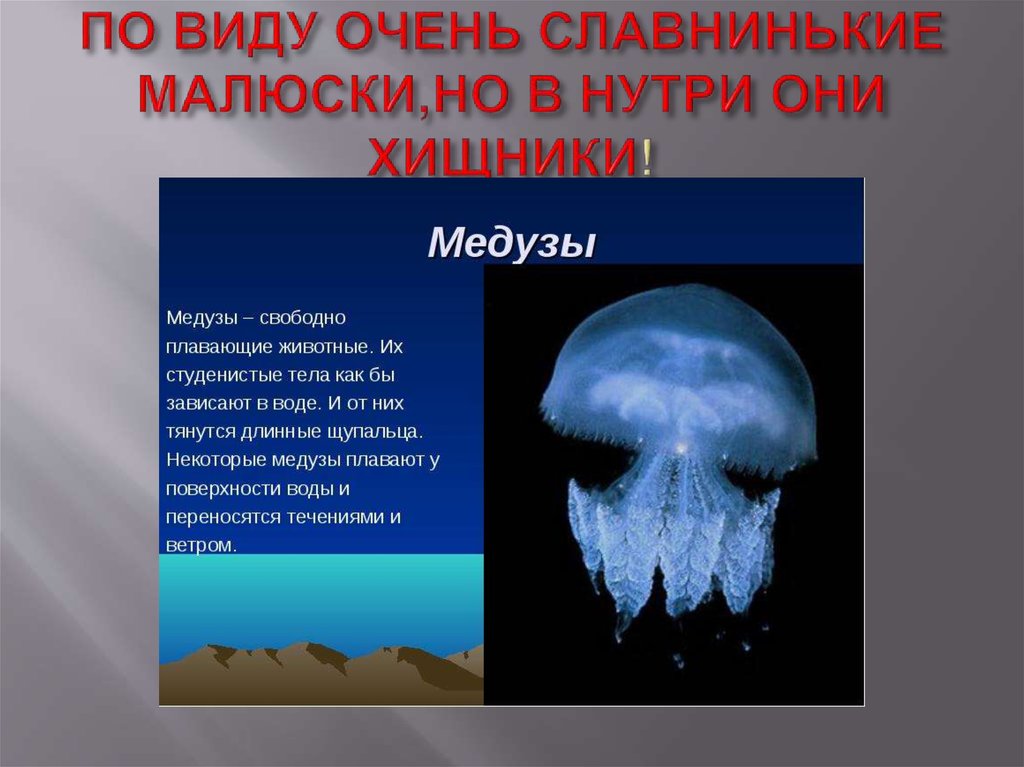 7 медузах