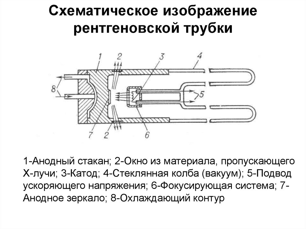 Обычное изображение получаемое при помощи рентгеновских лучей ответ на тест