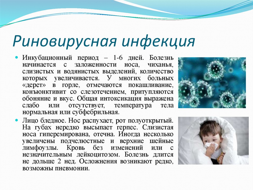 Инфекционные заболевания у детей. Риновирусная инфекция инкубационный период. Риновирусная инфекция синдромы. ОРВИ риновирусная инфекция. Риновирусная и аденовирусная инфекции.