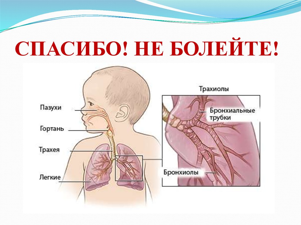 Инфекционная болезнь 8 букв