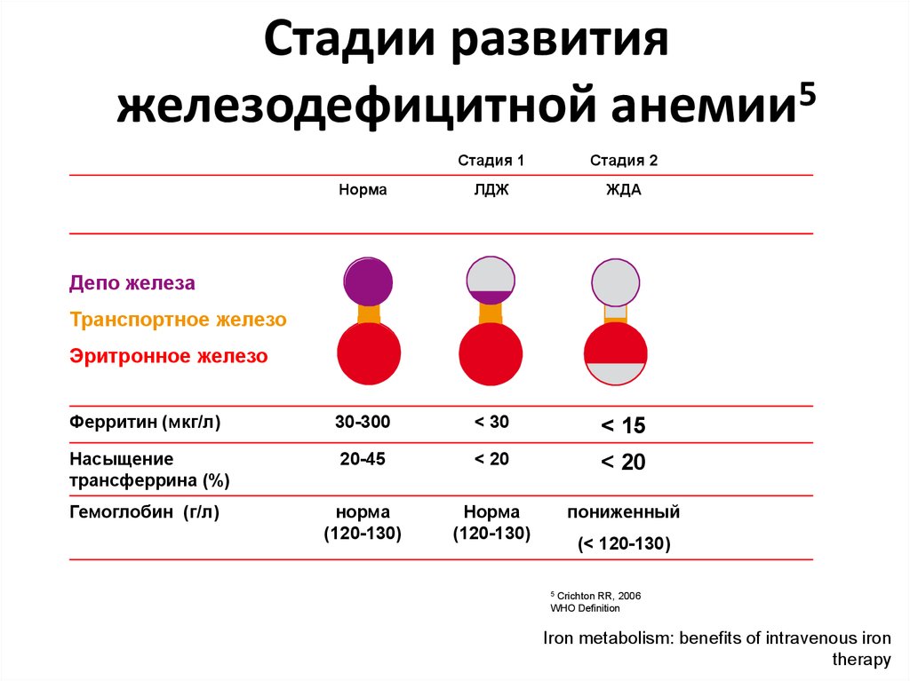 Железодефицитная анемия диаграмма