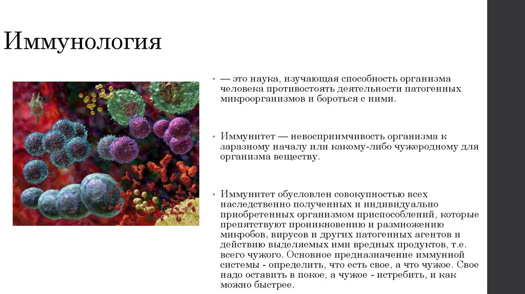 Наука изучающая бактерии называется. Иммунология это наука изучающая. Иммунология это в биологии. Иммунология это кратко. Иммунология презентация.