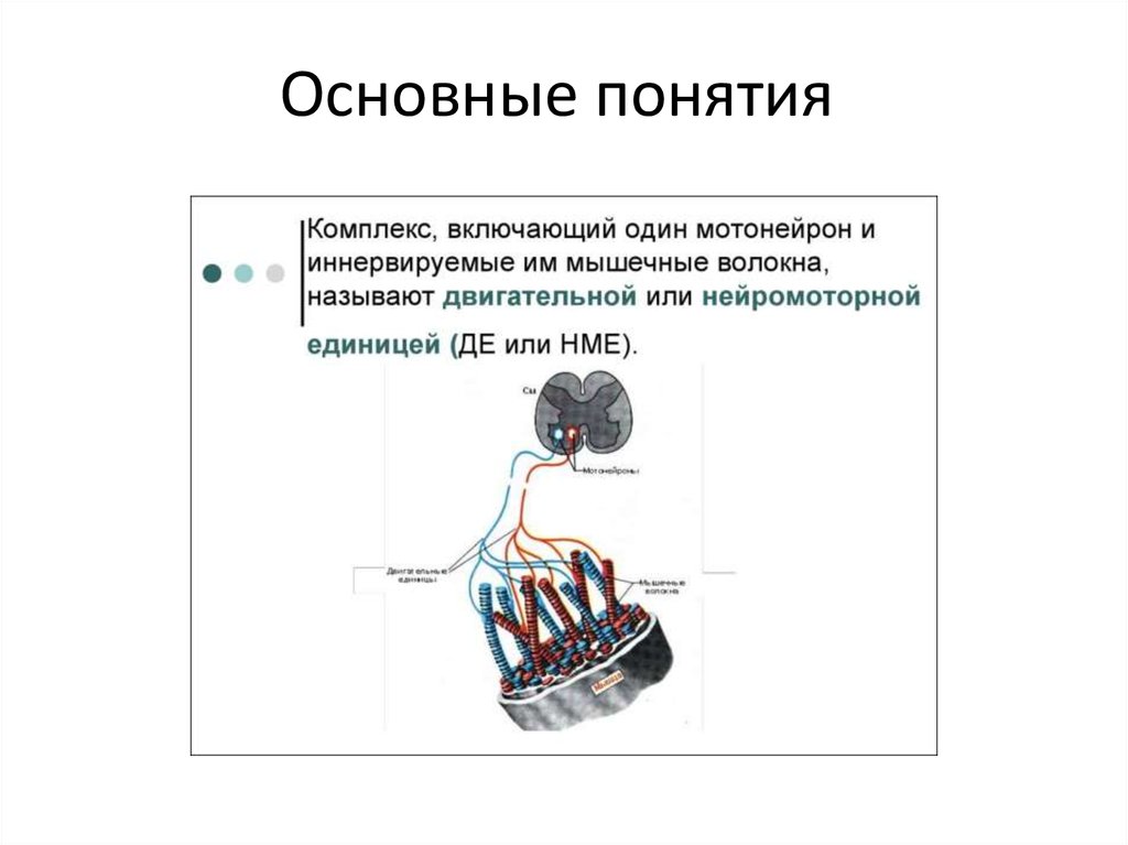 Основные понятия