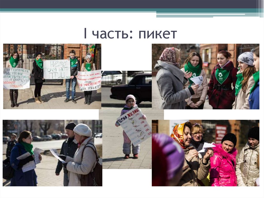 I часть: пикет