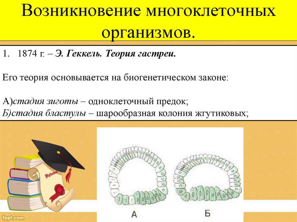 Как оценить проект на ранних стадиях развития