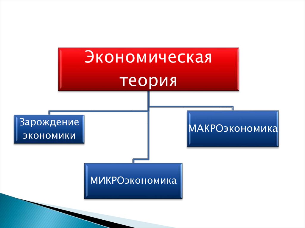 Экономическая теория государства