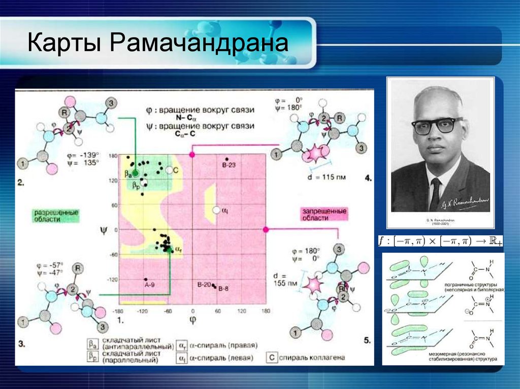 Карта рамачандрана для аминокислот