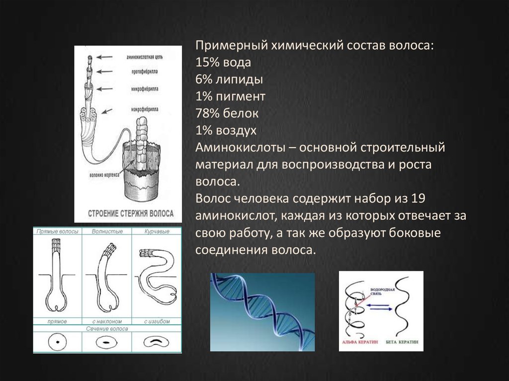 Липиды волоса состав. Химический состав волоса человека. Химичесий остав волоса. Химическая структура волоса человека.