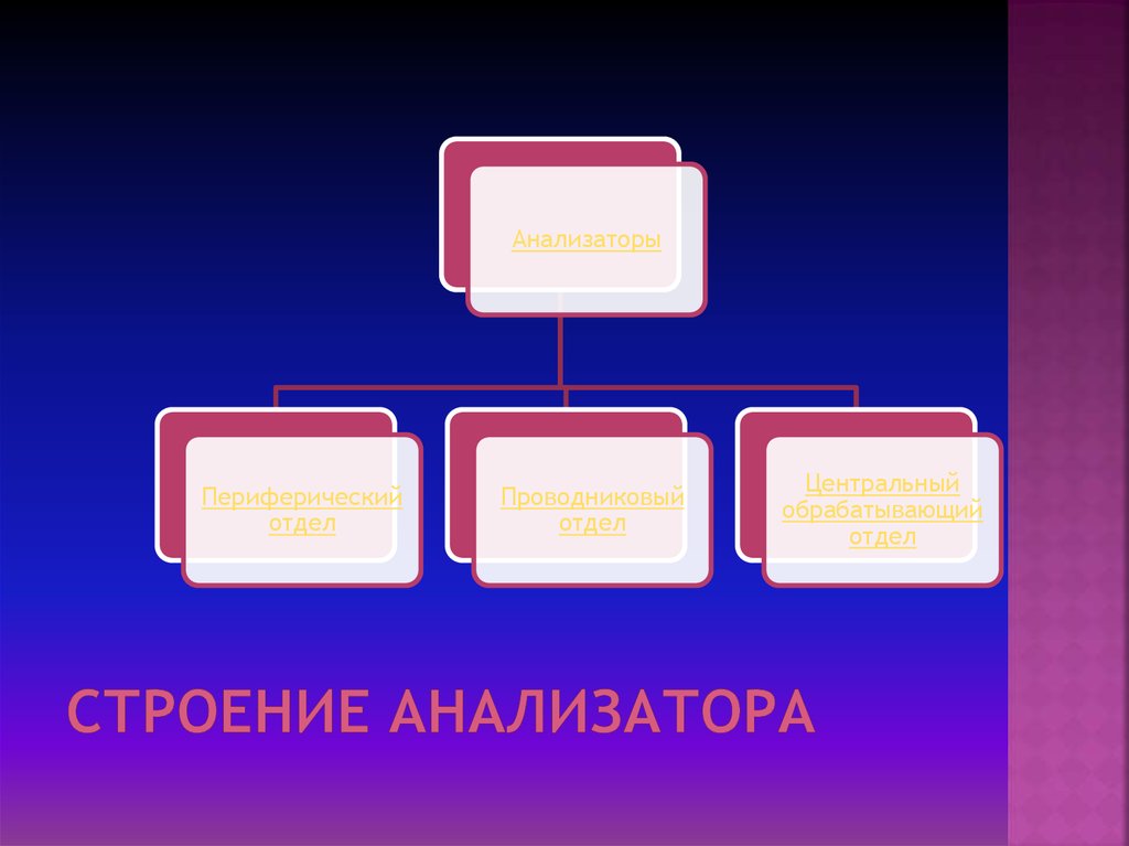 Структура анализатора. Анализаторы слайды презентации.