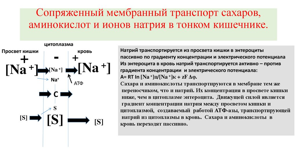 Схема образования иона натрия