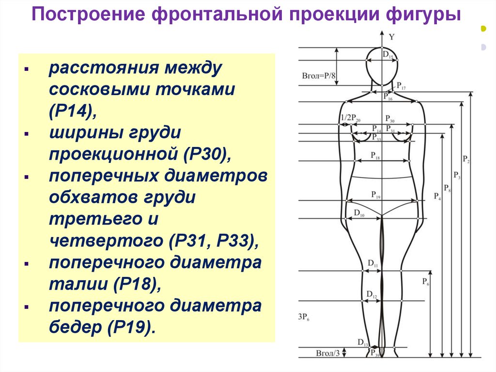 Расстояние до фигуры. Вид фронтальной проекции фигуры. Фронтальная проекция бедра. Рисунок человека фронтальная проекция. Расстояние между сосковыми точками.