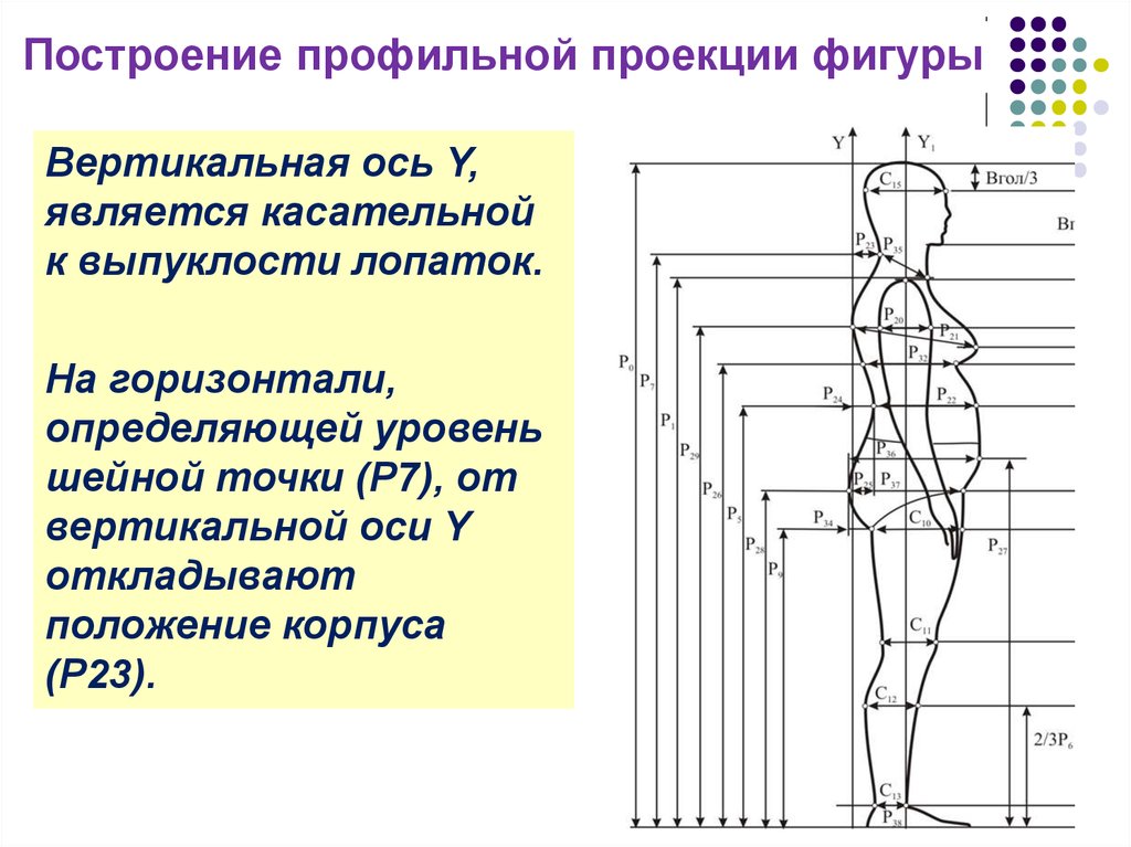 Вертикальные фигуры. Вертикальная ось. Профильная проекция фигуры. Как определить положение корпуса. Положение корпуса по точкам.