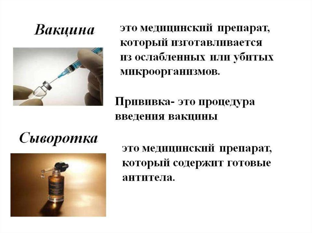 Сыворотка после вакцины