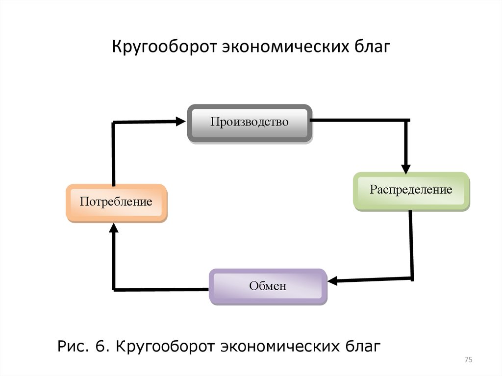 Экономический кругооборот схема