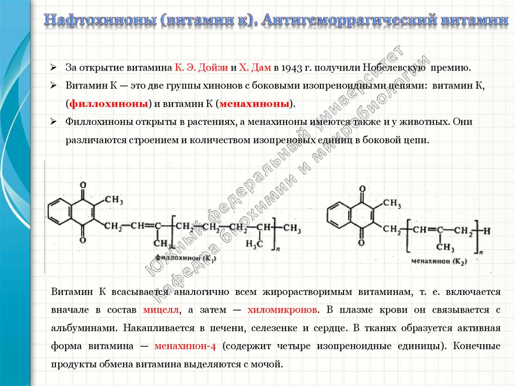 Филохинон