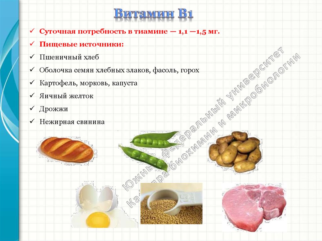 Витамин б потребность. Суточная потребность витамина b1. Витамин б 1 тиамин суточная потребность. Суточное потребление витамина в1.