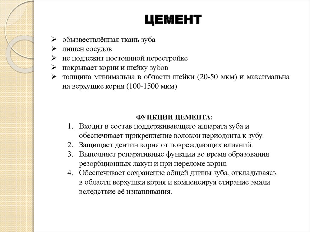 Строение цемента зуба. Строение и функции цемента. Цемент корня зуба функции. Функции цемента зуба. Характеристика цемента зуба.