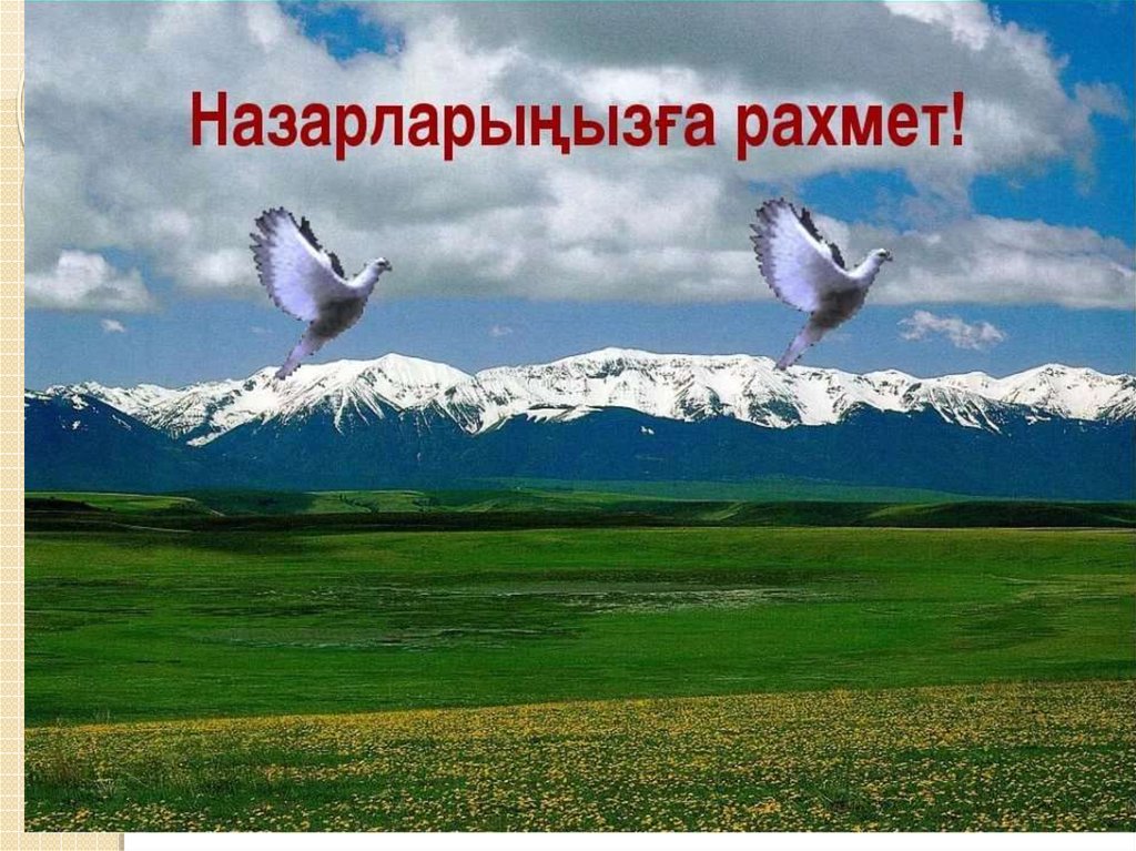 Назарларыңызға рахмет фото