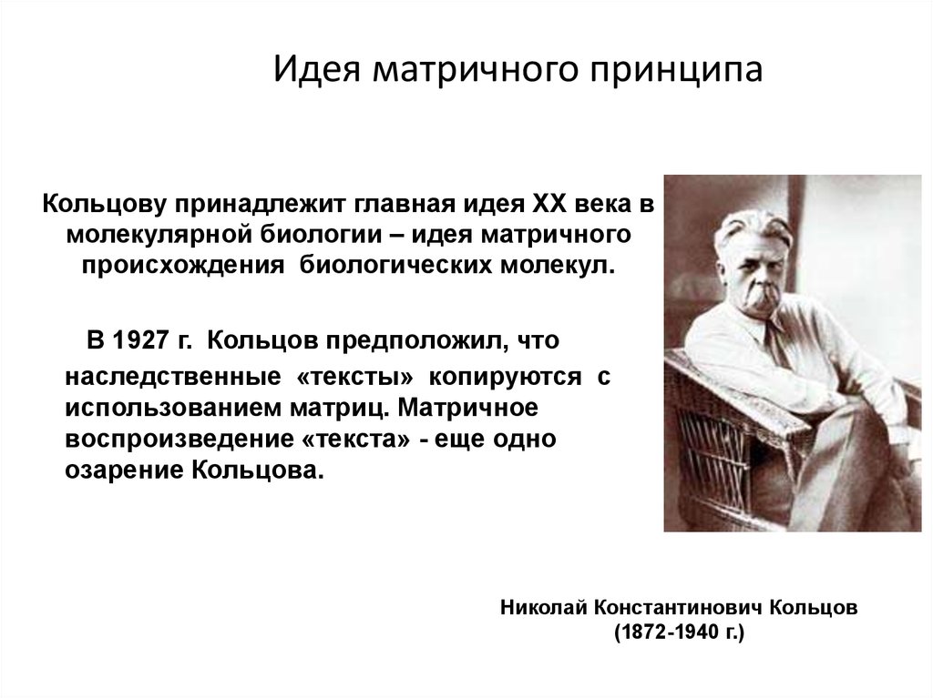 Матричный принцип. Матричный принцип биология. Николай Кольцов матричный Синтез. Идея матричного синтеза Кольцов.