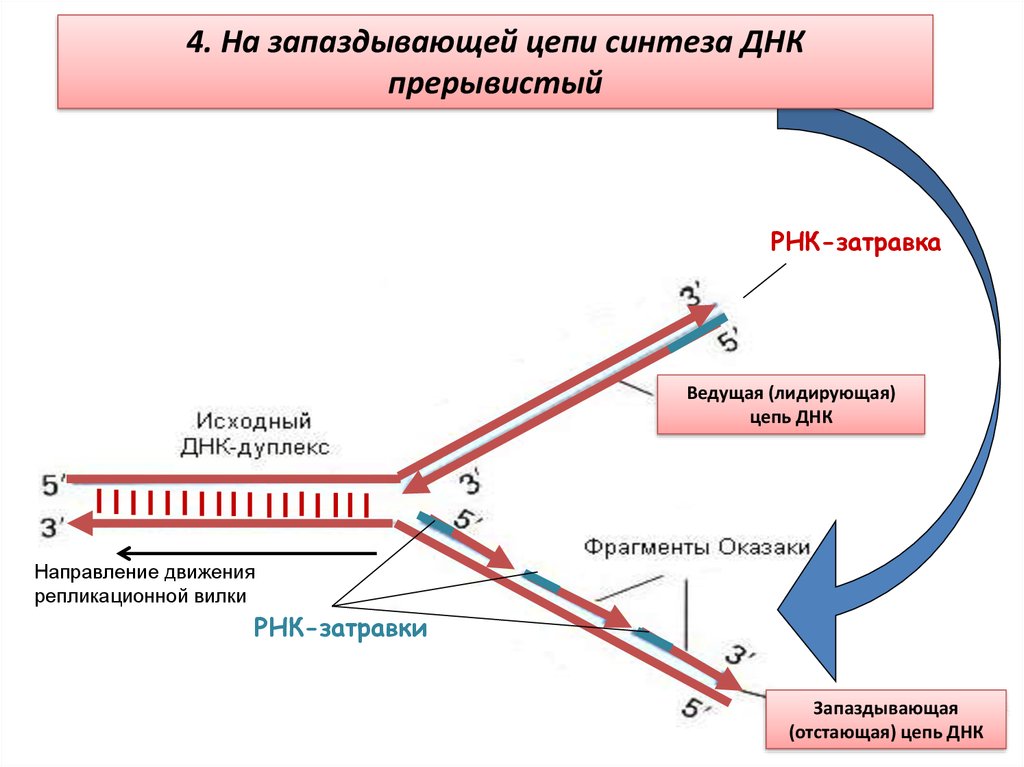 Синтез цепи