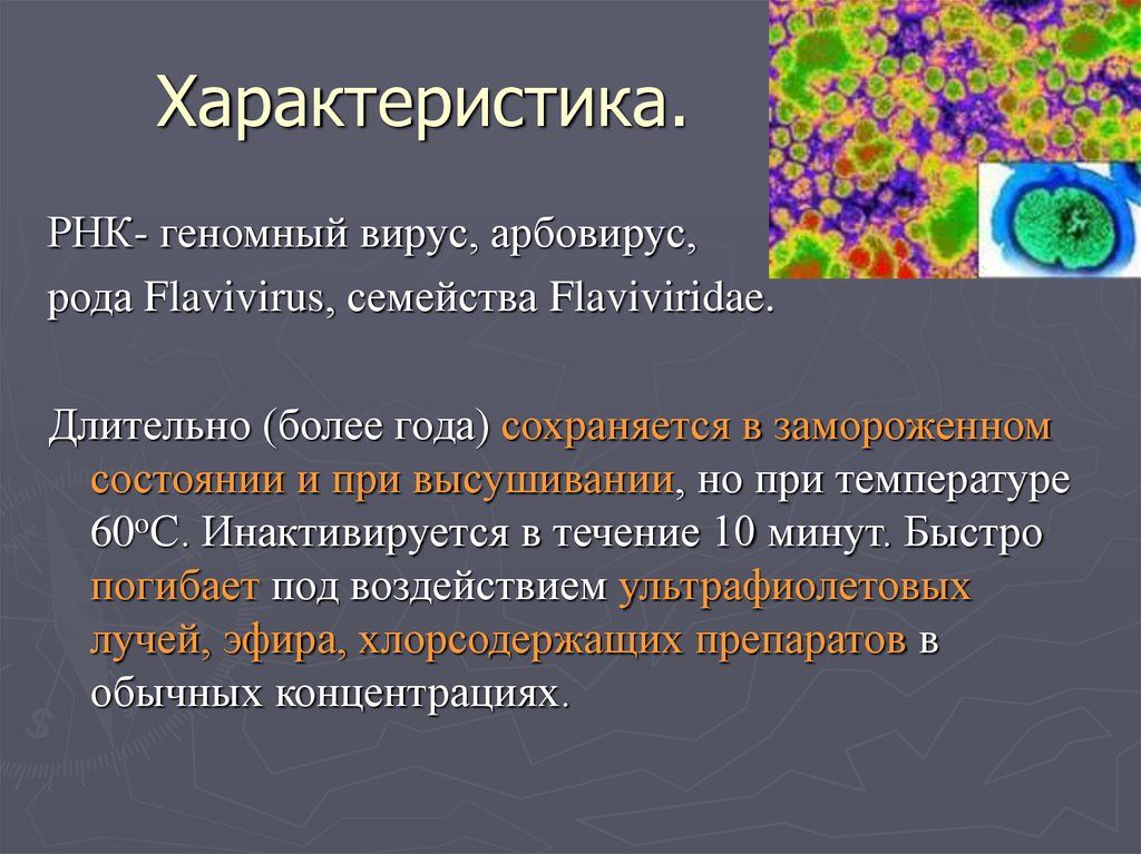 Рнк геномные вирусы. Вирус желтой лихорадки флавивирус. Характеристика арбовирусов. Вирус желтой лихорадки строение. Арбовирусные инфекции микробиология.