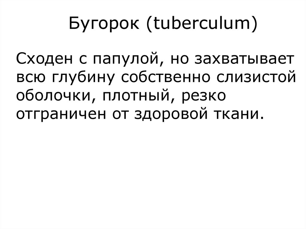 Бугорок (tuberculum)