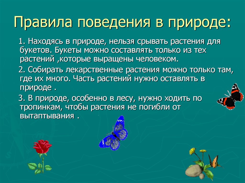 Конспект многообразие и значение растений. Нельзя срывать растения для букетов. Поведение растений в природе. Какие растения нельзя срывать. Правила поведения на природе 3 класс окружающий мир.