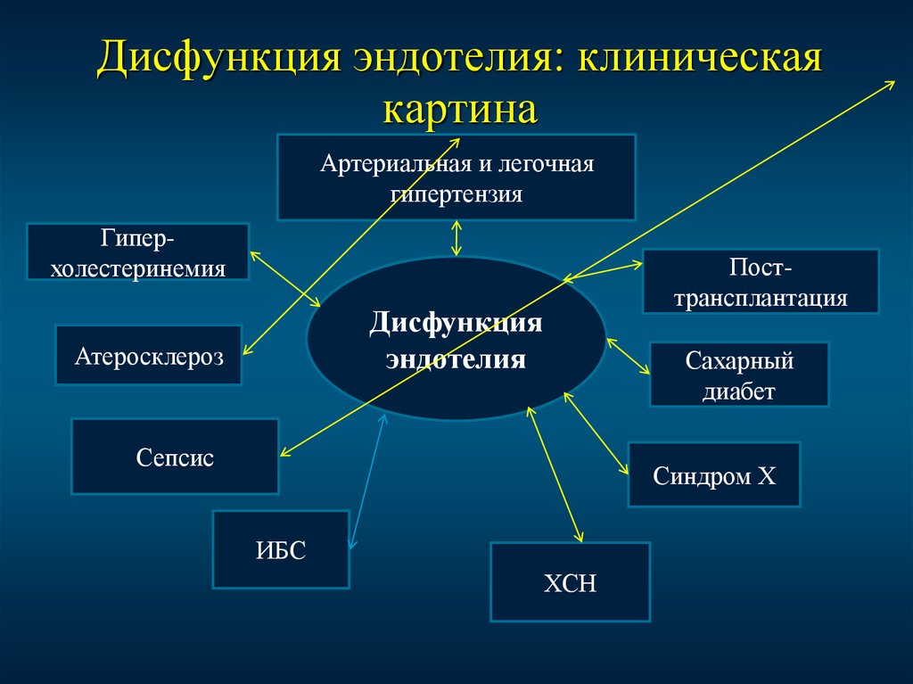 Эндотелиальная дисфункция презентация