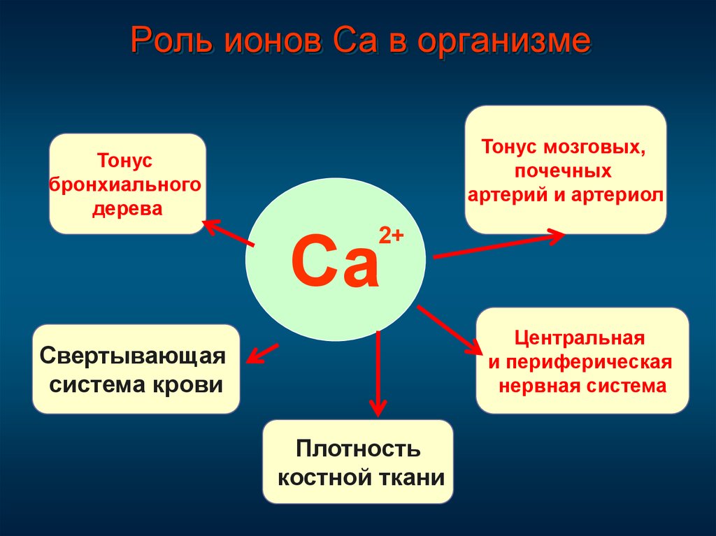 Са значение