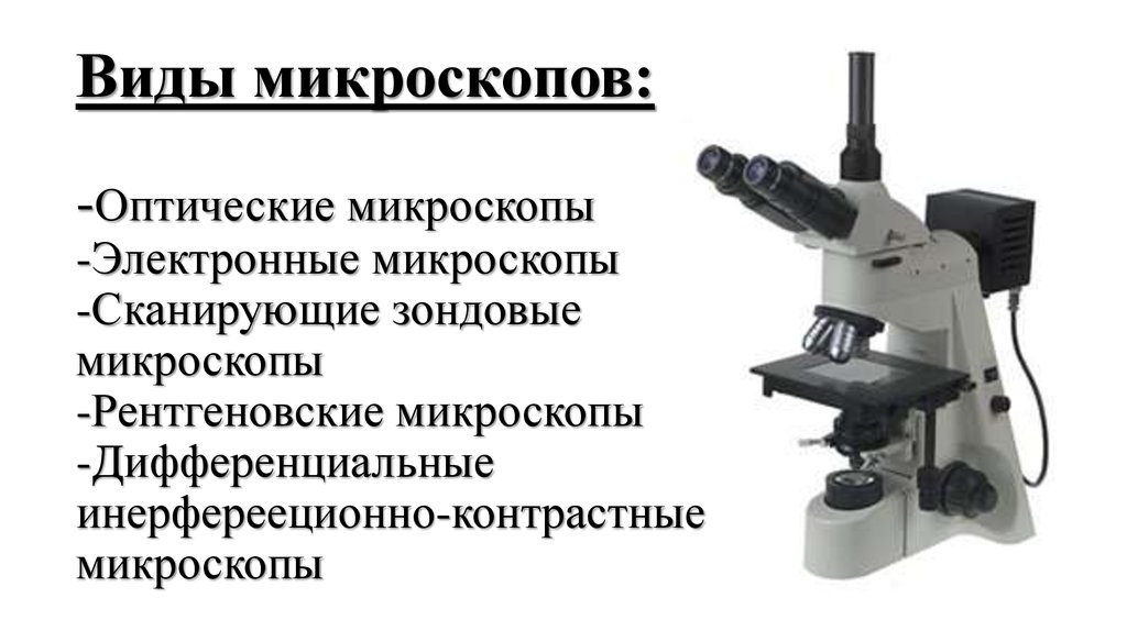 Виды микроскопов: -Оптические микроскопы -Электронные микроскопы -Сканирующие зондовые микроскопы -Рентгеновские микроскопы