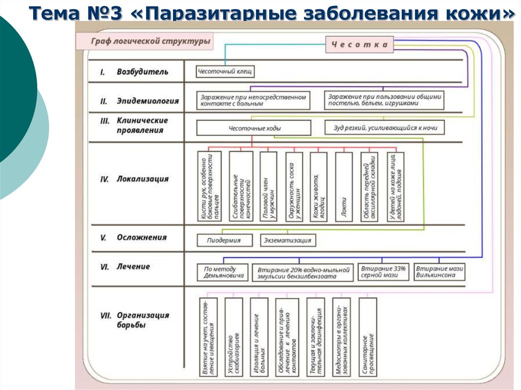 Дерматология в схемах и таблицах