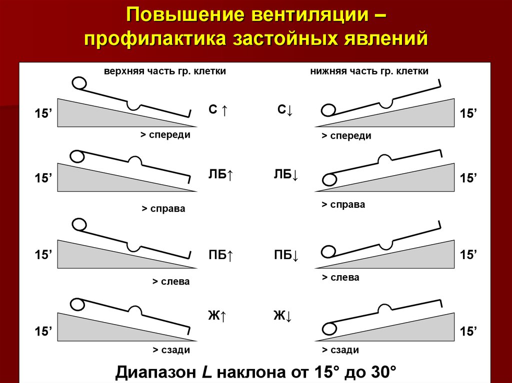 Диапазон 15. Диапазон наклона. Профилактика застойных явлений.