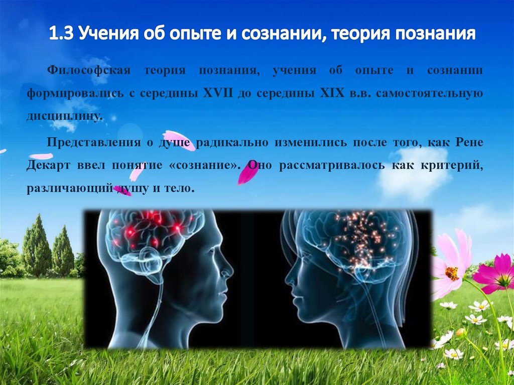 Учение о сознании философия. Теория познания гносеология. Учение об опыте. Современные теории познания. Теории сознания в философии.