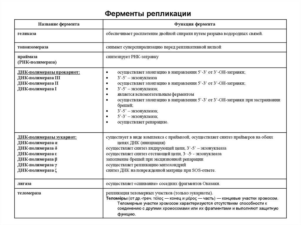 Ферменты днк. Ферменты репликации и их функции таблица. Ферменты репликации ДНК И их функции таблица. Ферменты репликации ДНК И их функции. Таблица репликация ДНК фермент функция.