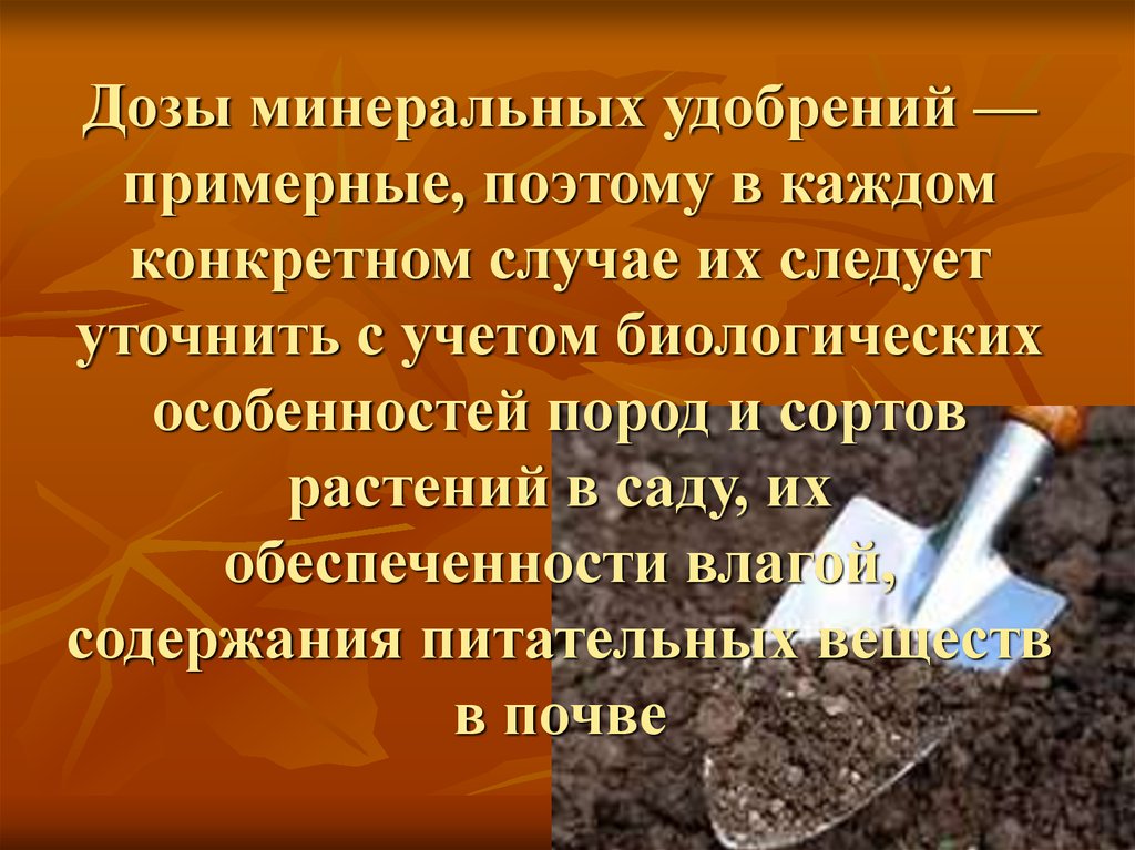 В каждом конкретном случае. Сообщение о любом минеральном удобрении. Почвенные минералы дозировка. Доза минералы. Как дозировать минералы.