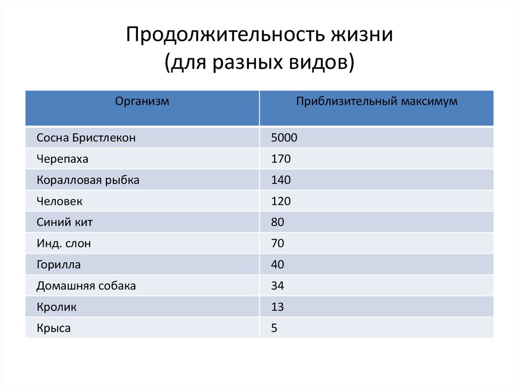 Сколько живут голаго