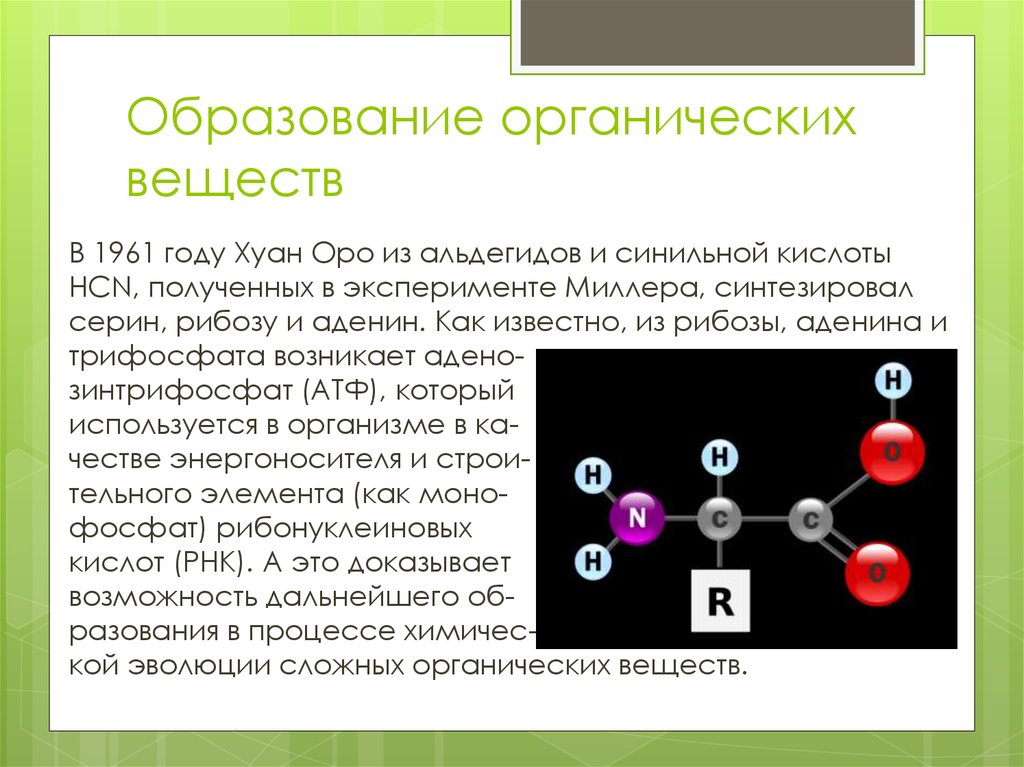 Образуют органические вещества