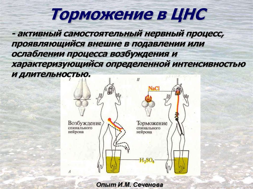 Система опыта