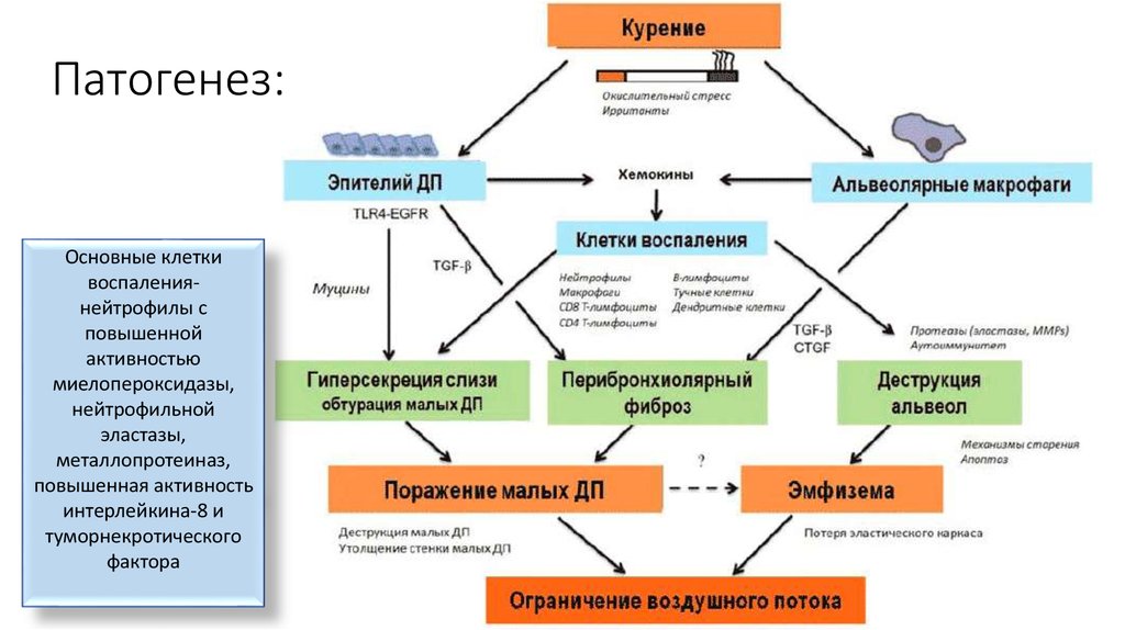 Биссиноз патогенез клиническая картина диагностика лечение