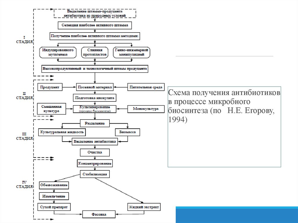 Технологическая схема антибиотиков