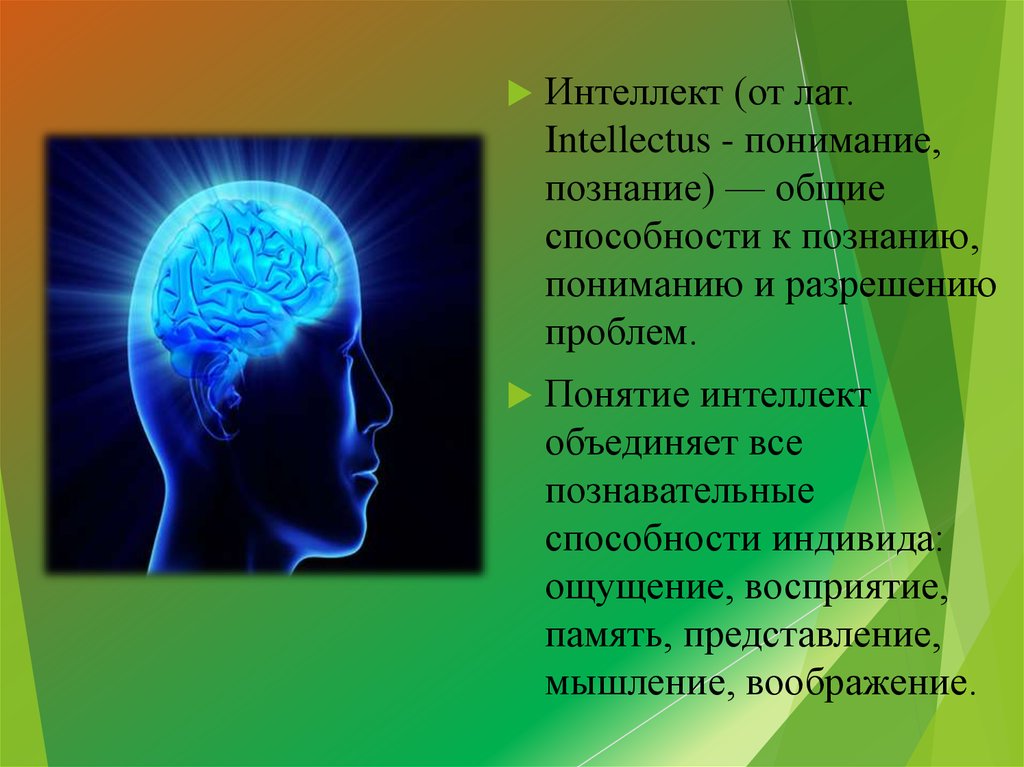 Источник знаний является разум какая концепция. Понятие интеллекта. Осмысление понимание постижение. Искусственный интеллект. Интеллектуальные способности.